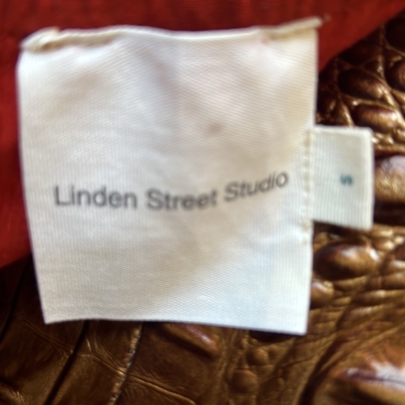 Linden Street Studio Balloon Sleeve Mini Dress. - Picture 6 of 10